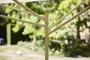 Extremis_Acacia_Diksmuide-0989-1.webp