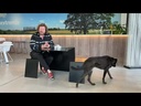 youtube - [Video]