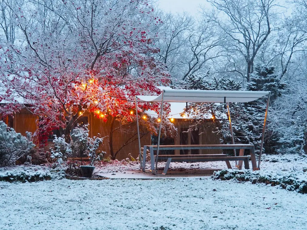 Extremis_HopperShade_WinterWonderland-1.webp