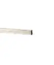 Inumbrina baleen, 1 piece