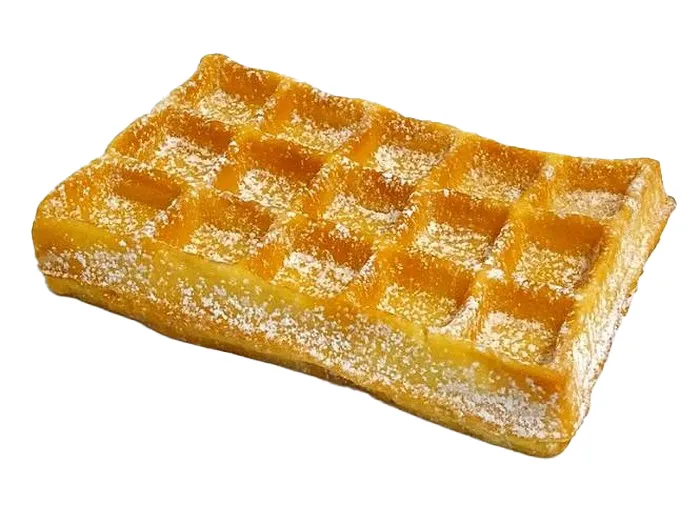 Dummy food